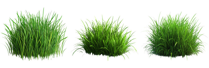 Green grass patches set isolated on transparent background