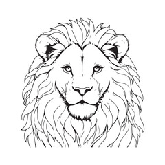 line art lion on white background. sketch style. Vector graphic icon animal.