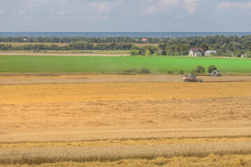 Obraz premium A field of crops is being harvested by a tractor