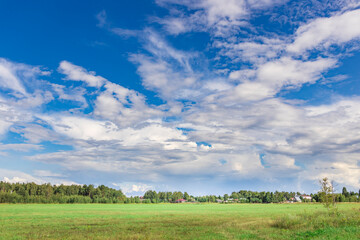 A large, open field with a few trees and a house in the distance