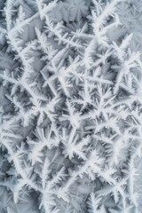 Ice crystal art features intricate and delicate patterns created by frost, reflecting the stunning elegance of winter's natural beauty.