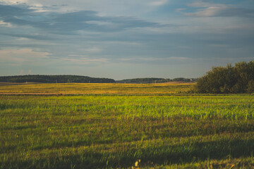 Fototapeta premium View of the field in the evening in the village. The clouds