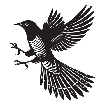 recommend clip art: Common Cuckoo silhouette, European Cuckoo Bird Clipart, Common Cuckoo landing Illustration in black and white