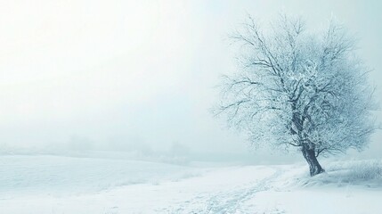 Fototapeta premium Winter's Embrace: A solitary tree stands tall in a serene winter landscape, its branches adorned with frost, evoking a sense of tranquility and solitude.