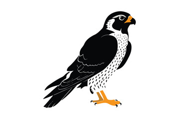 Falcon Bird illustration Vector design