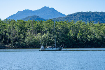 Old Sailboat Alone in the Daintree Rainforest