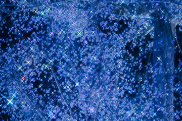 箱根のクリスマスのイルミネーション