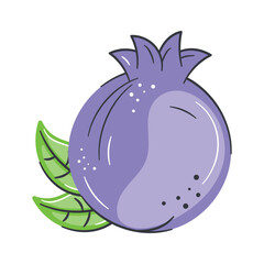 Pomegranate fruit vector design, organic and healthy fruit