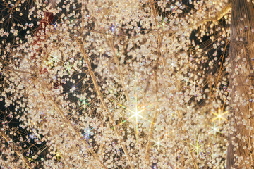 箱根のクリスマスのイルミネーション