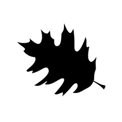 leaf silhouettes on the white background vector illustration