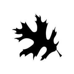 leaf silhouettes on the white background vector illustration