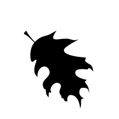 leaf silhouettes on the white background vector illustration