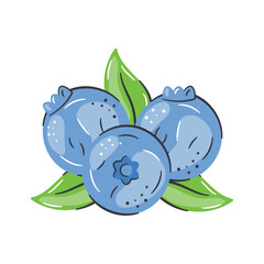 Trendy icon of blueberries, organic chokeberries, berries with leaf, healthy vector design