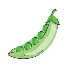 A spherical green seed that is eaten as a vegetable or as a pulse when dried, peas vector design