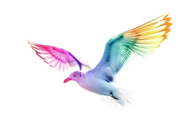 Obraz premium Beautiful illustration of a seagull with a white background isolated kawaii