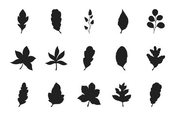 Set of hand drawn leaves silhouettes isolated on white background.Beautiful doodle collection of leaves. 