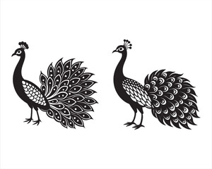 design a full view white Peacock in black and white, on white background