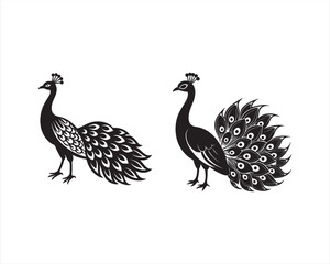 design a full view white Peacock in black and white, on white background