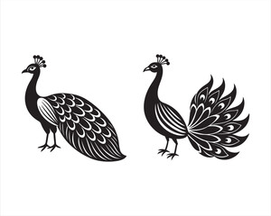design a full view white Peacock in black and white, on white background