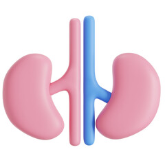 3D Icon of Kidneys