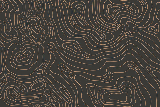 Topographic map with mountain relief, contur abstract wavy lines, top view land
