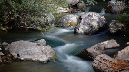 stream in the forest