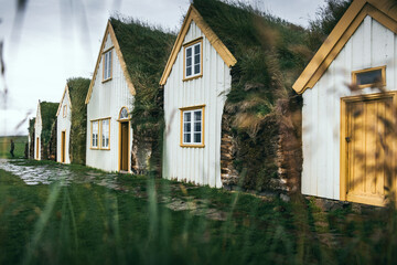 Old icelandic houses with gras roofs that are built with peat and wood