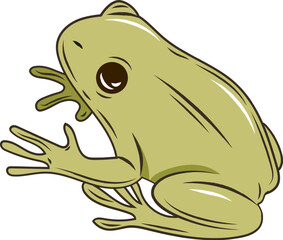 green frog vector illustration