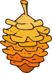 Pine Cone Illustration