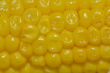 Golden Grains: A Macro Exploration of Corn and Cob