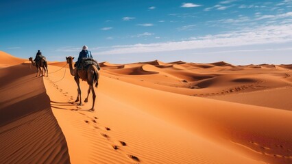 photography of camel in desert landscape .