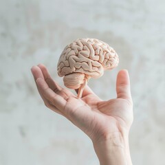 A detailed, lifelike model of a human brain is carefully held in an outstretched hand, symbolizing knowledge, education, and science.