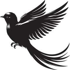 Black Drongo vecto silhouette art-01