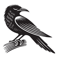 Obraz premium Yellow-billed Cuckoo silhouette, Cuckoo Bird Clipart, Yellow-billed Cuckoo sleeping Illustration in black and white