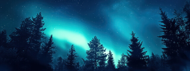 Fototapeta premium A dark sky with a blue aurora and trees in the background
