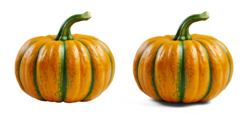 High-resolution closeup of isolated pumpkins on transparent background with clipping path. Two variations of whole ripe pumpkin with and without shadow. Versatile digital asset for diverse design
