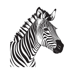 line art zebra on white background. sketch style. Vector graphic icon animal.