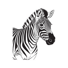 line art zebra on white background. sketch style. Vector graphic icon animal.