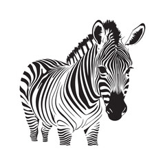line art zebra on white background. sketch style. Vector graphic icon animal.