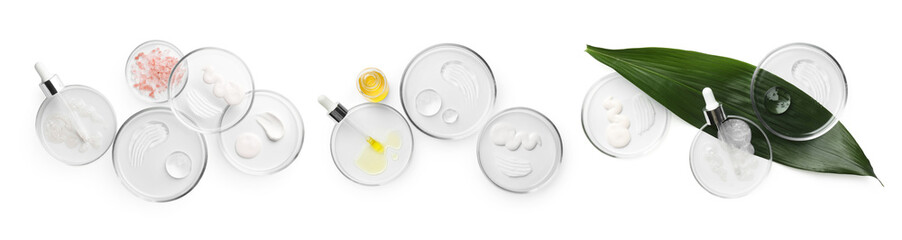 Petri dishes with cosmetic products and plant isolated on white, top view. Set