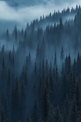 Obraz premium Misty forest. Foggy mountains. Misty spruce landscape banner