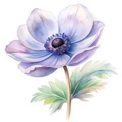 Obraz premium Anemone flowers watercolor illustration for kids clothes and prints isolated clipart