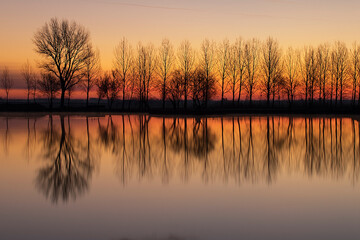 Beautiful reflection