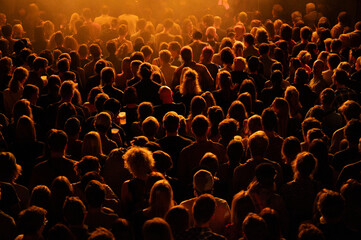 Audience at a live concert