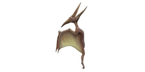 Pterodactyls isolated on a Transparent Background