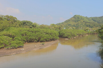 Nov 22 2015 the Plover Cove Country Park LUK KENG