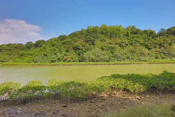 Nov 22 2015 the Plover Cove Country Park LUK KENG