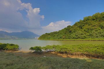 Nov 22 2015 the Plover Cove Country Park LUK KENG