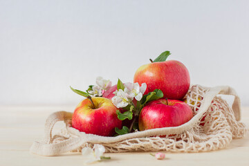 Still life, composition with sweet ripe fresh apples, red organic fruits with flowers of apple tree in organic knitted rag bag, eco friendly. Harvesting