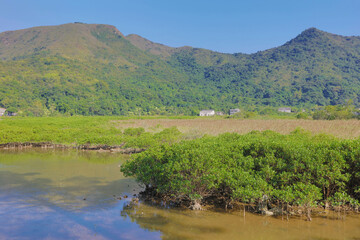 Nov 22 2015 the Plover Cove Country Park LUK KENG